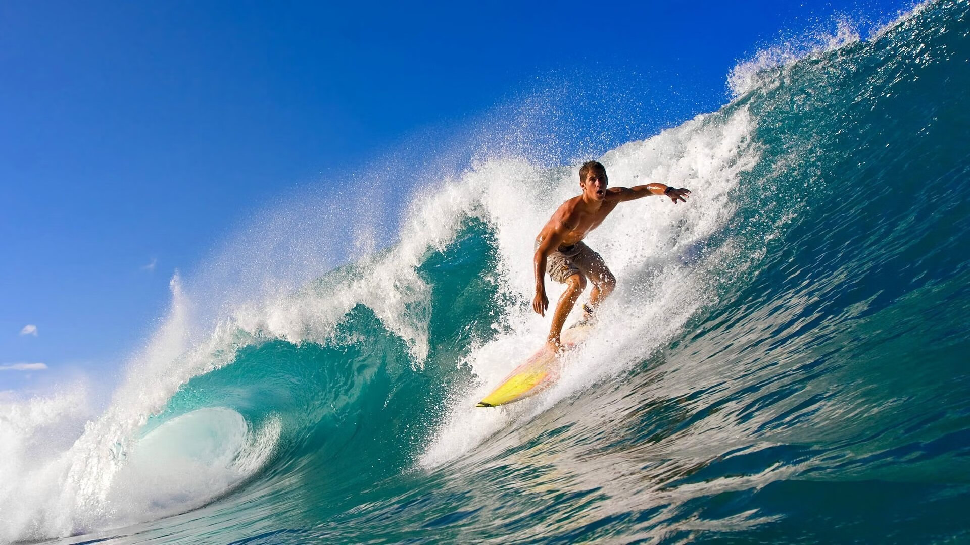 森林狼打出团队配合胜出比赛，森林狼队伍